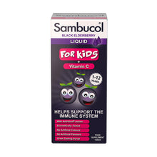 Load image into Gallery viewer, Sambucol Black Elderberry Extract For Kids