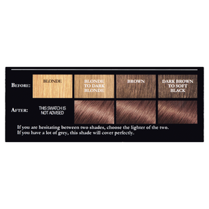 L'Oreal Paris Preference Infinia 4.15 Caracas Iced Chocolate Hair Dye