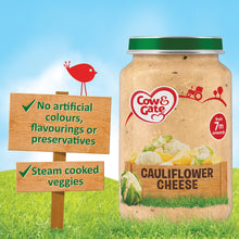 Load image into Gallery viewer, Cow &amp; Gate Cauliflower Cheese Jar