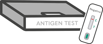 DAY 2 Express Covid-19 Antigen Test