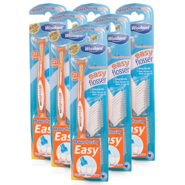 Wisdom Easy Floss Daily Flosser - 6 Pack